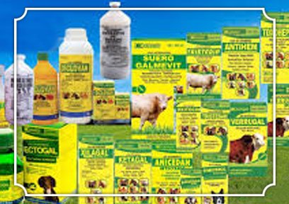 Veterinaria Colonial